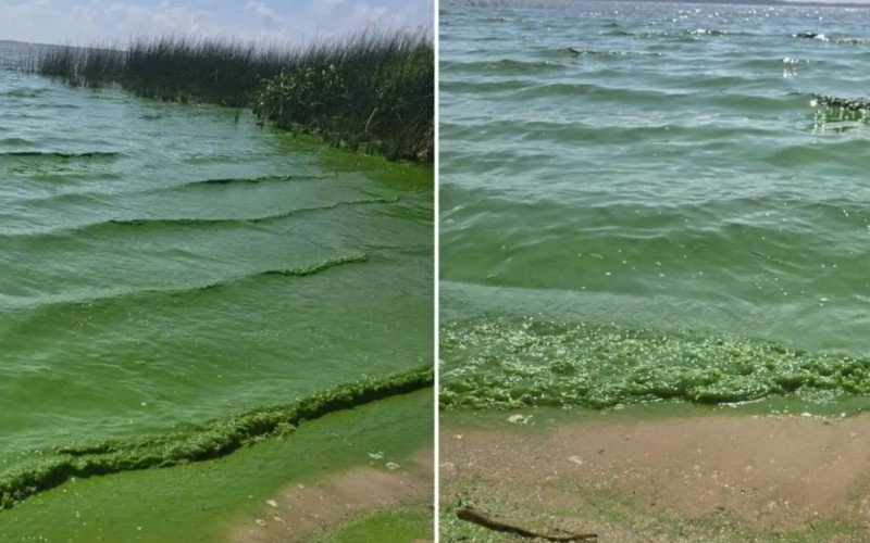 Moradores e turistas se depararam com a Lagoa dos Patos com coloração esverdeada | abc+