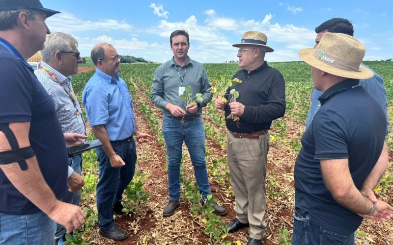 Secretário Covatti visitou propriedades e uma empresa de pesquisa de acompanhamento de cultivares  | abc+