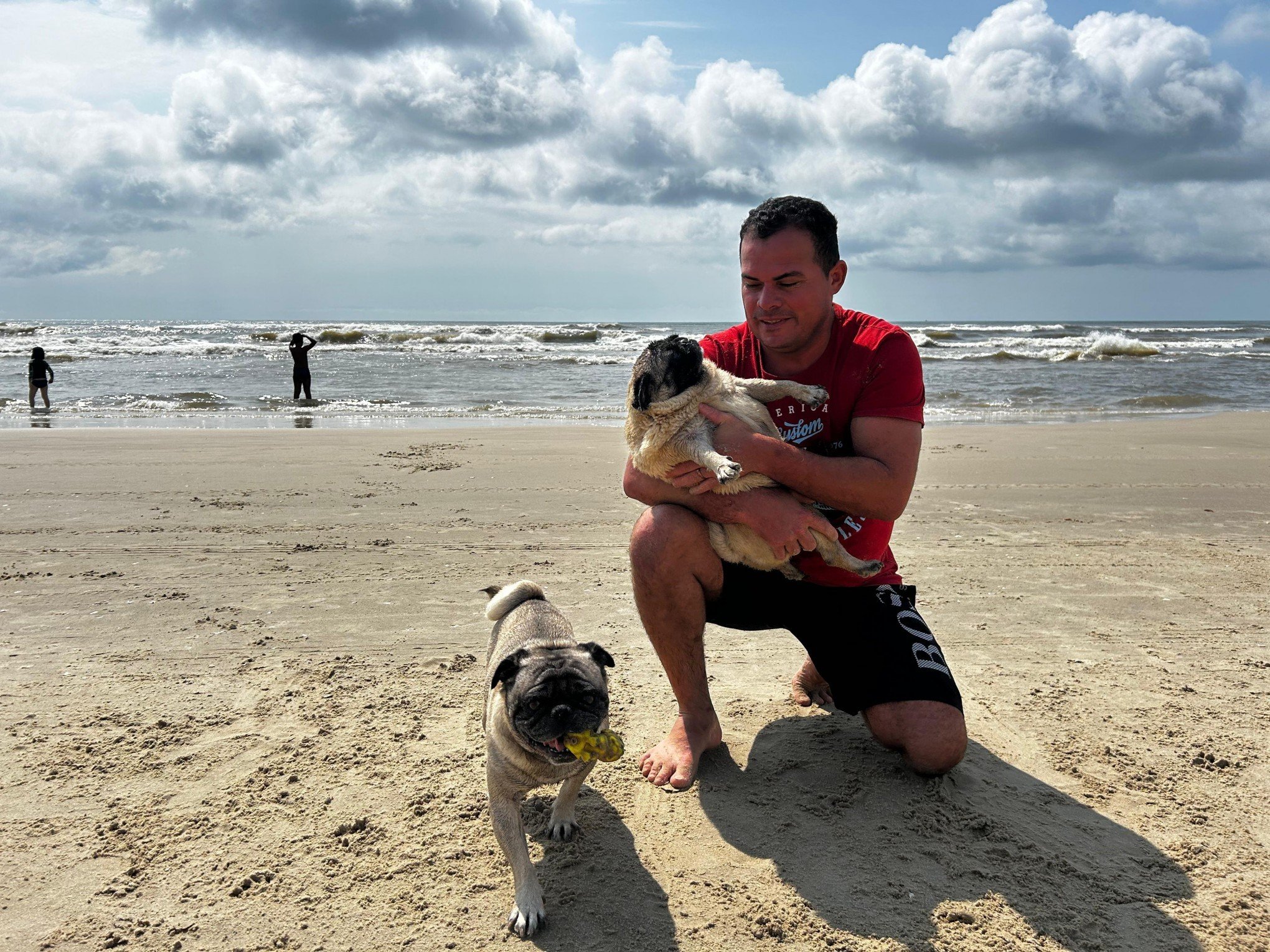 Animais também curtem o mar e as férias de verão em Tramandaí