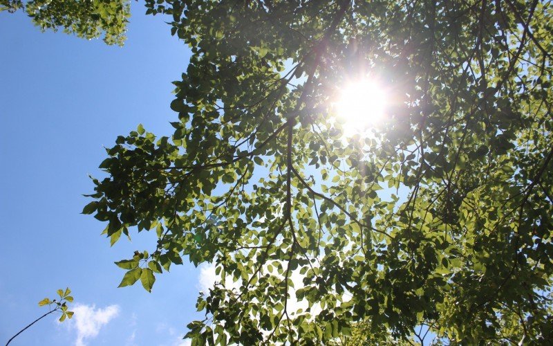 Calor se intensifica no RS; veja até quantos graus podem chegar as temperaturas | abc+