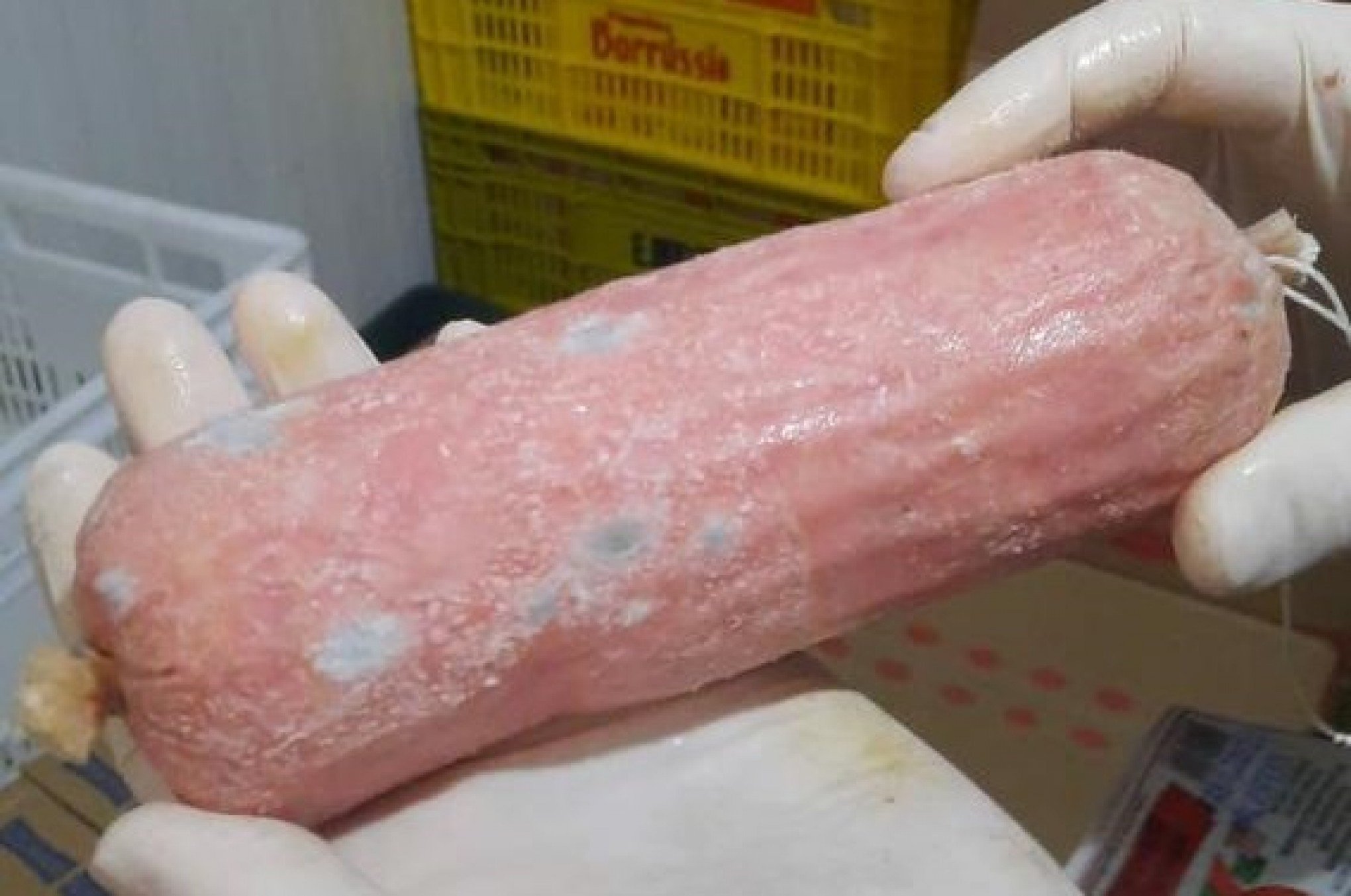 Até produto mofado é localizado em ação que interditou padaria de supermercado do litoral norte