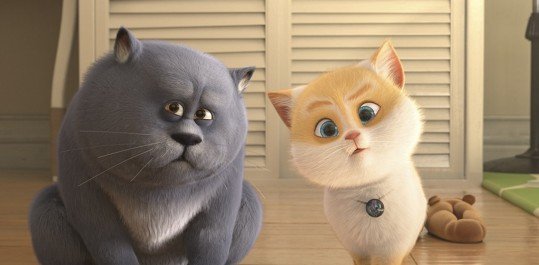 TV Globo exibe o filme Cats e a Gatolândia na Sessão da Tarde | abc+