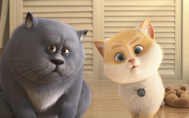 Cats e a Gatolândia | abc+