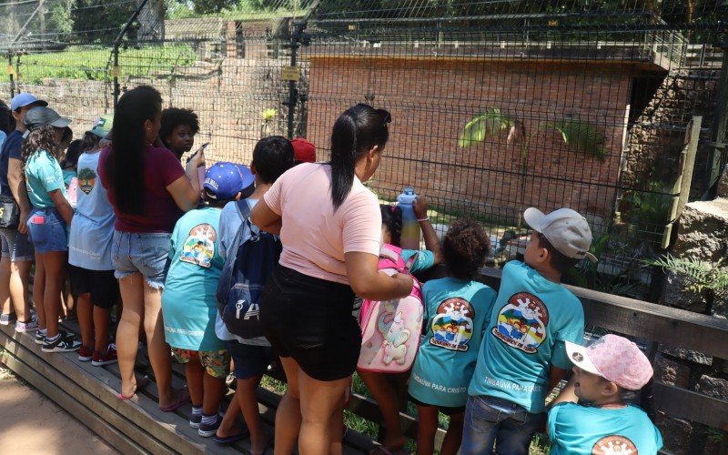 Além de conhecer animais, visitantes podem aproveitar diversas atrações no Parque Zoológico de Sapucaia do Sul 