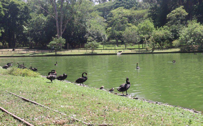 Atrações do Parque Zoológico de Sapucaia do Sul 