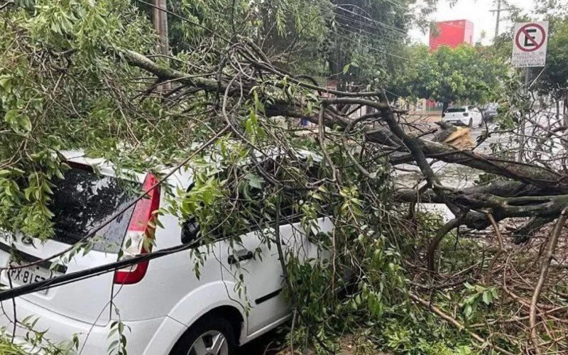 Temporal causou transtornos em São Borja nesta quinta-feira (23) | abc+