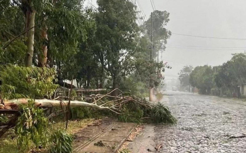 Temporal causou transtornos em São Borja nesta quinta-feira (23) | abc+