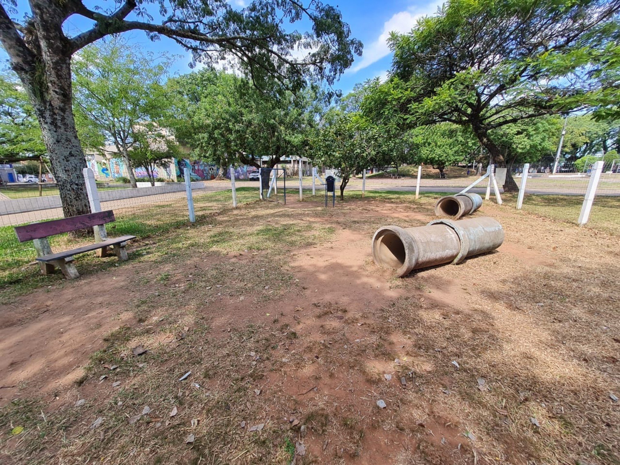Sempa realiza primeira feira do ano para adoção de cães e gatos neste sábado