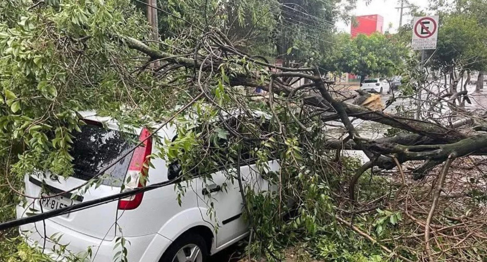Em dia extremamente quente, temporais já causam estragos no Rio Grande do Sul; tem alerta para sexta-feira