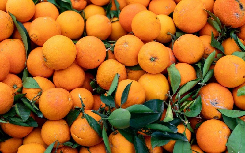 laranja | abc+