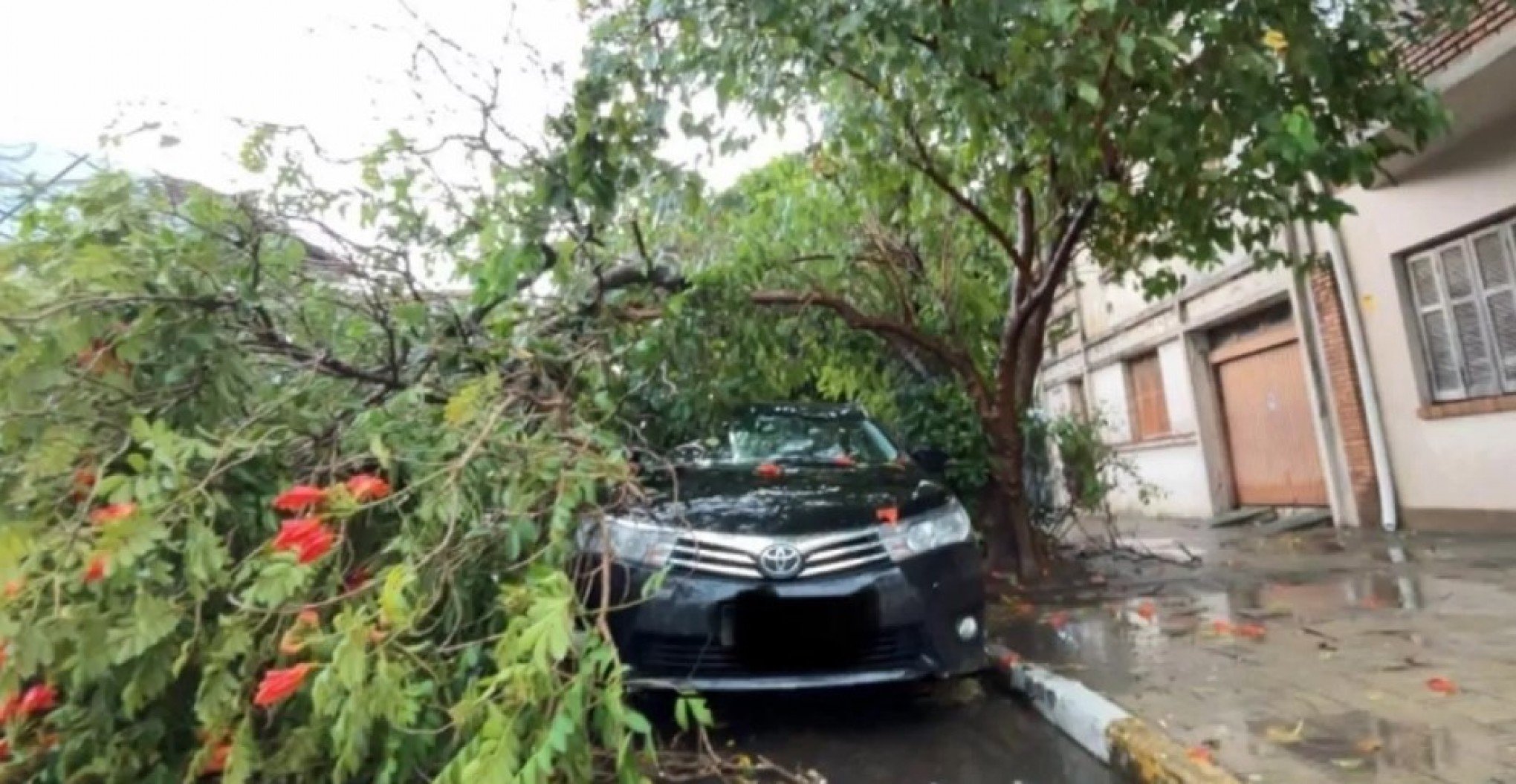 Temporais voltam a causar estragos no Rio Grande do Sul; veja o que esperar do sábado