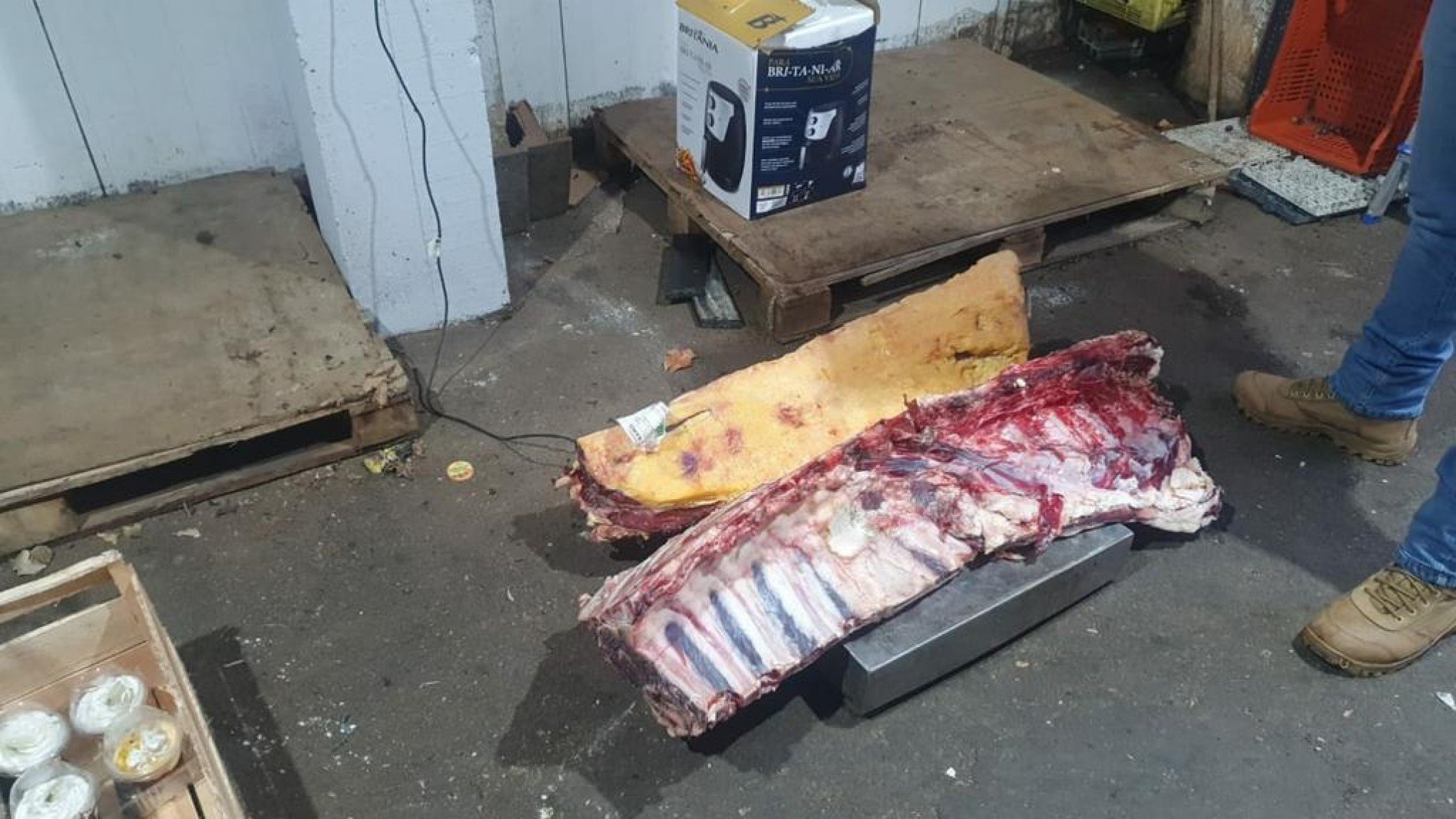 Supermercados do litoral norte têm mais de 1,4 tonelada de alimentos apreendidos