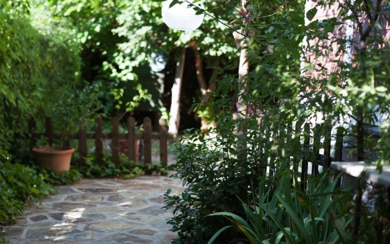 Confira as plantas que não devem ser cultivadas para não destruir a sua casa | abc+