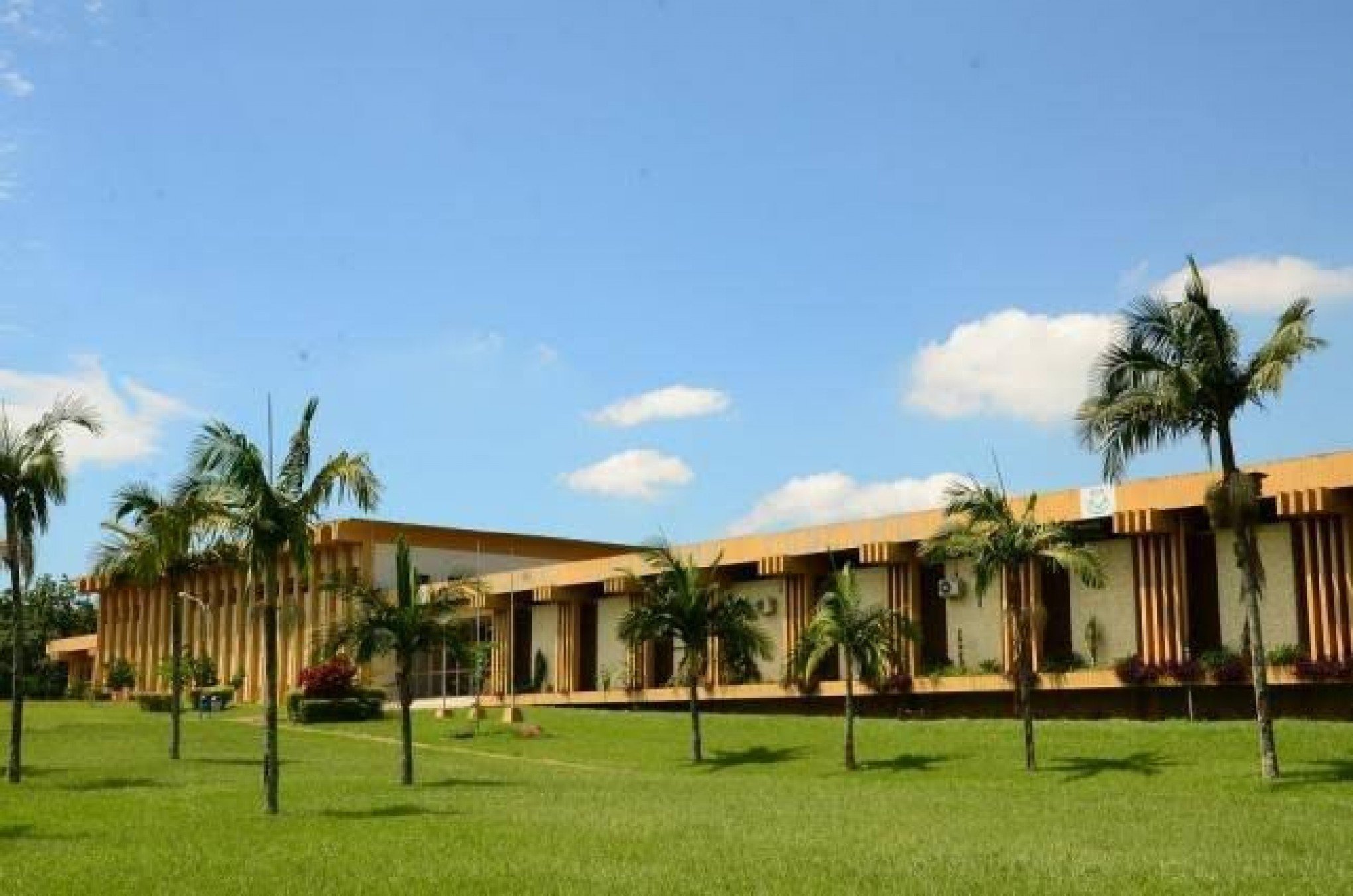 Colégio Concórdia oferece bolsas de até 50% a estudantes do Ensino Médio
