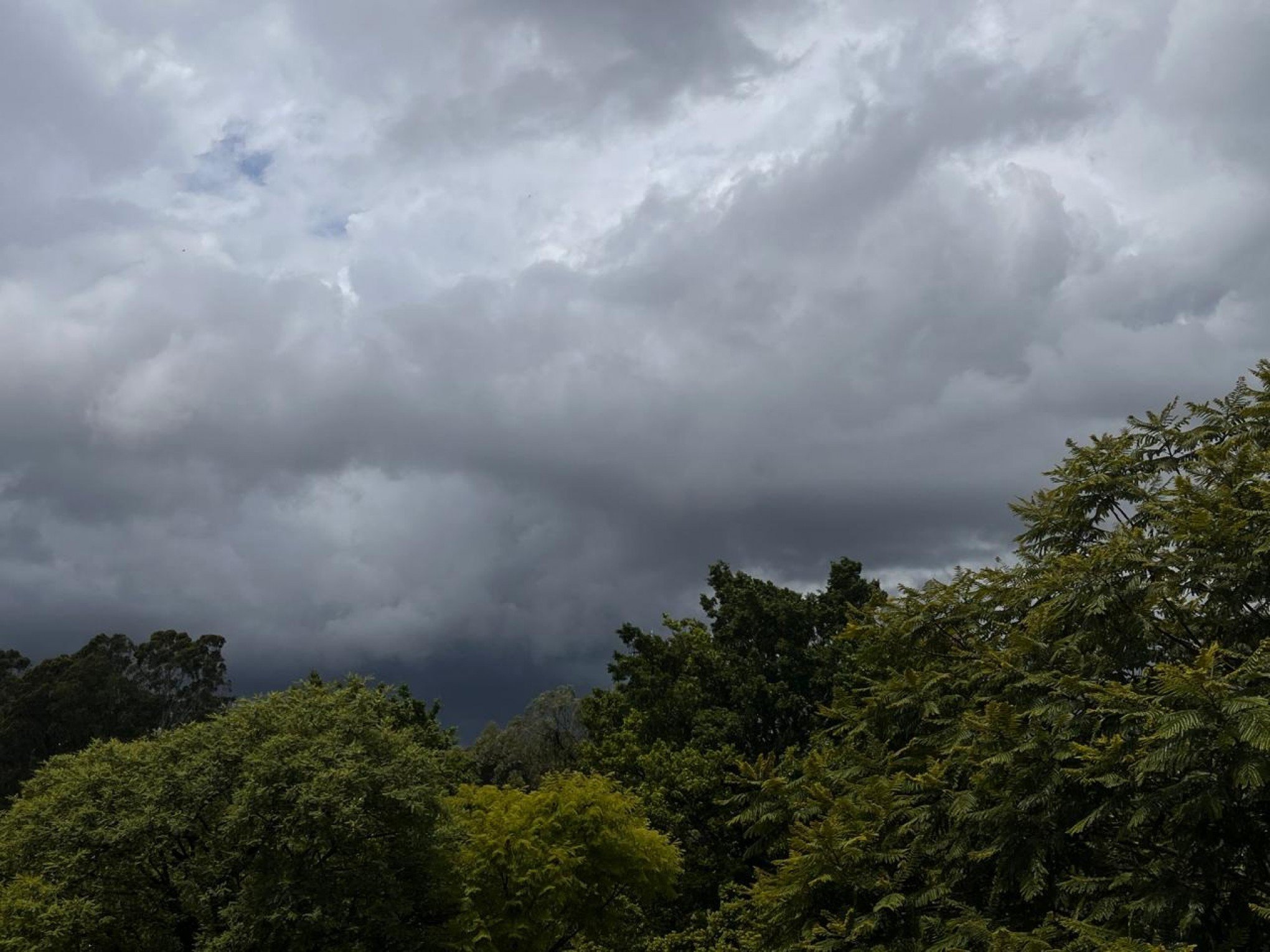 PREVISÃO DO TEMPO: Defesa Civil alerta para temporais na Grande Porto Alegre e na Serra