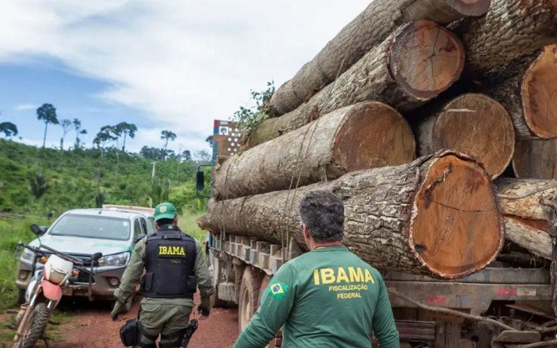 CONCURSO PÚBLICO: Inscrições abertas para 460 vagas no Ibama; salários chegam a R$ 9,9 mil | abc+