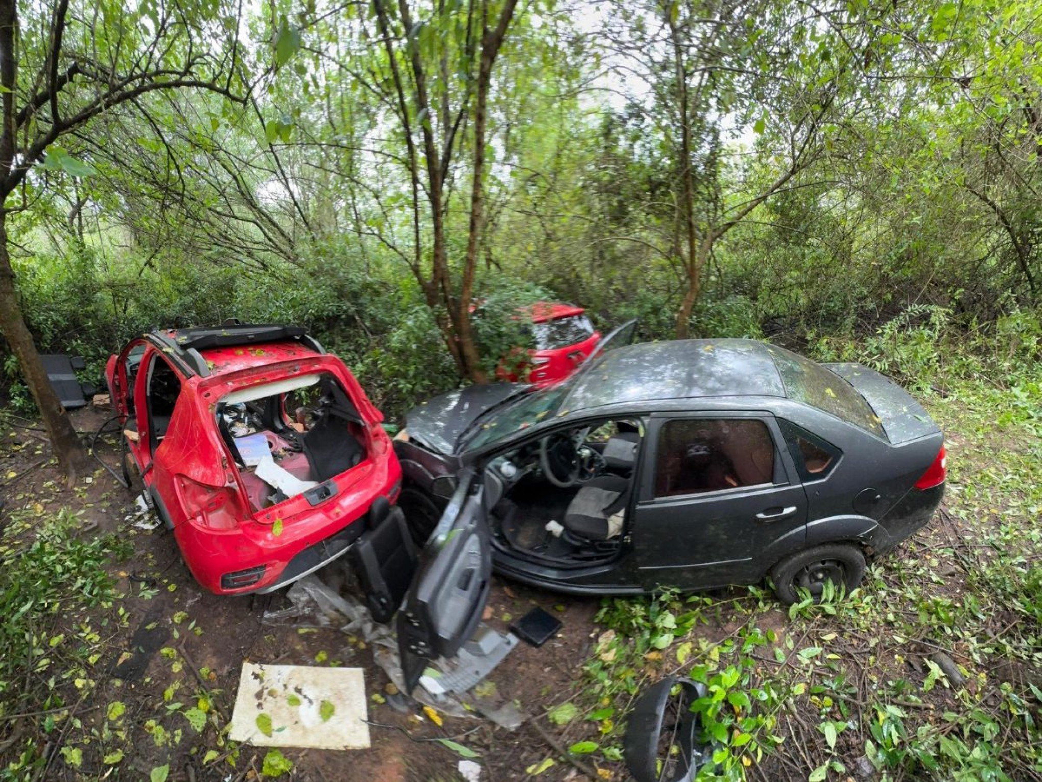 Carros roubados e usados para assaltos são encontrados em desmanche clandestino de Novo Hamburgo