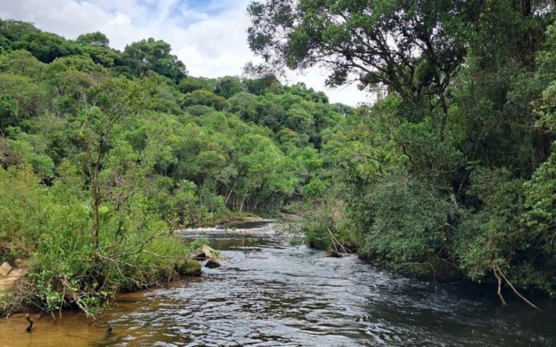 Corpo de turista argentino é encontrado em Santa Catarina após desaparecimento | abc+