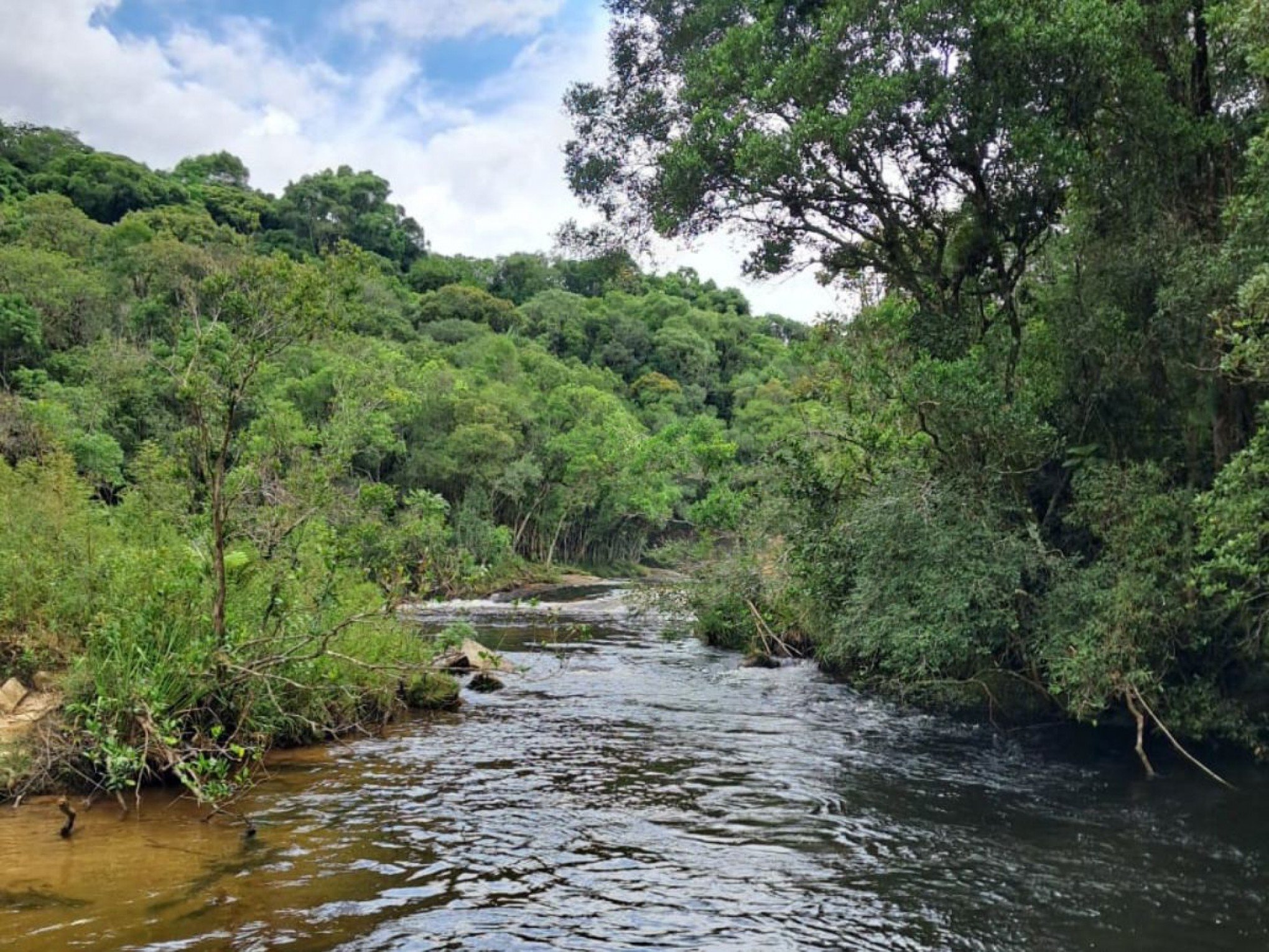 Corpo de turista argentino é encontrado em Santa Catarina após desaparecimento