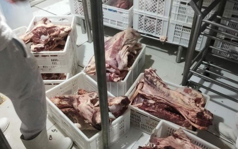 Fiscalização em mercados de Torres | abc+