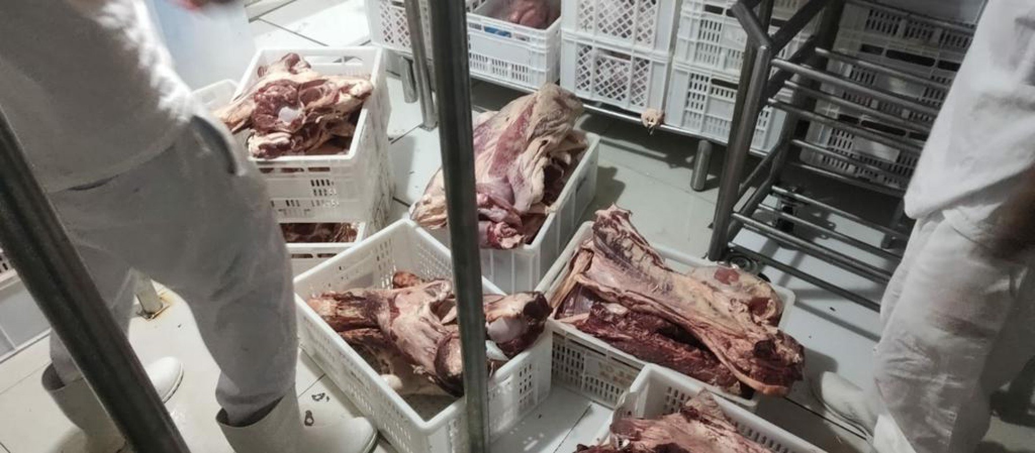 Mais de 700 quilos de alimentos impróprios são apreendidos no litoral norte