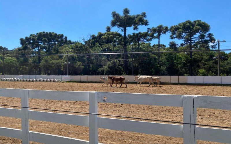 Cancha do rodeio de Gramado