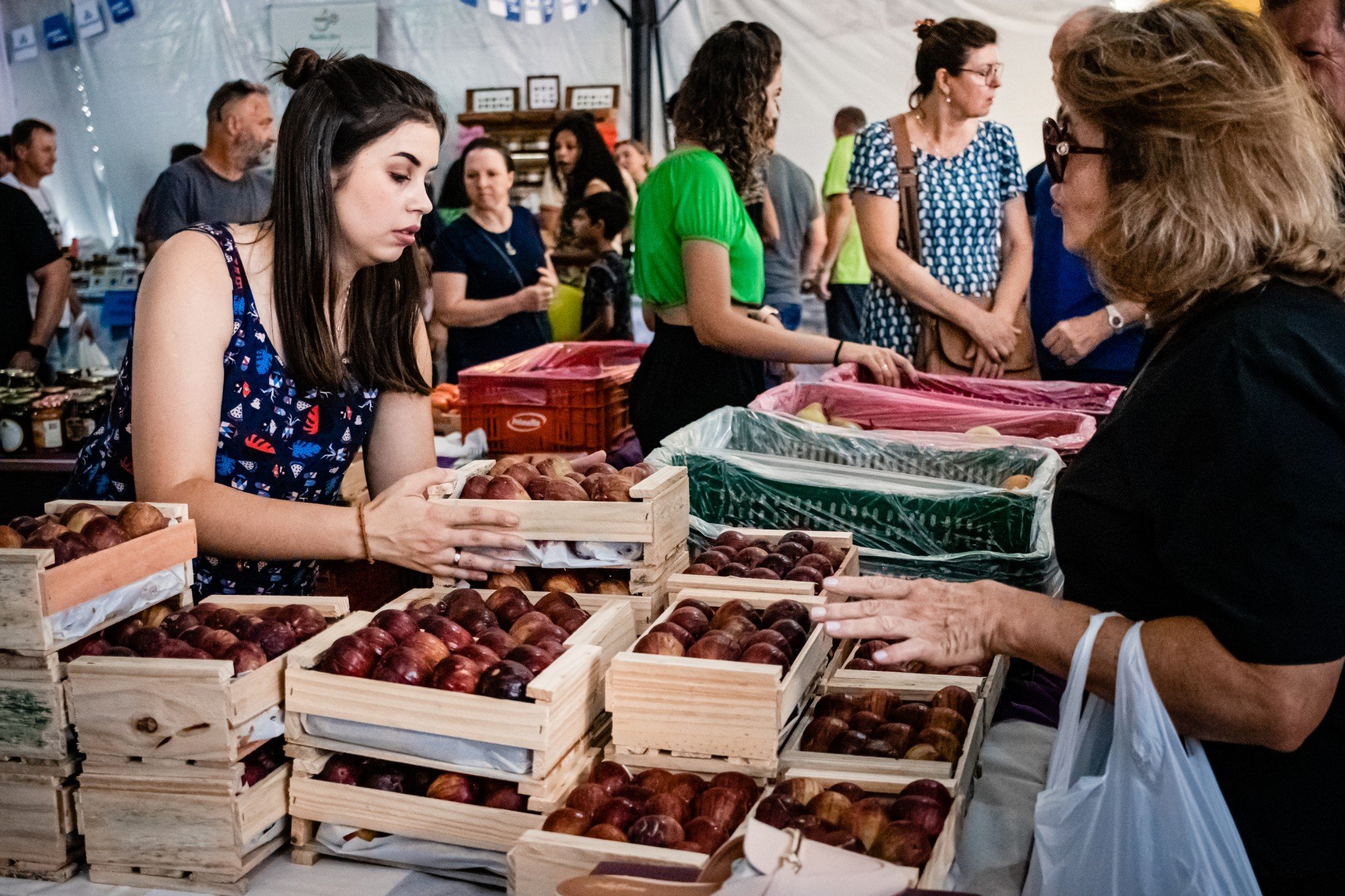 Final de semana para comemorar a colheita da uva e do figo na Região das Hortênsias