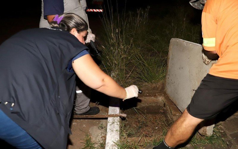 Vigil&acirc;ncia Ambiental de Esteio realiza a&ccedil;&otilde;es de captura de escorpi&otilde;es-amarelos no Centro da cidade