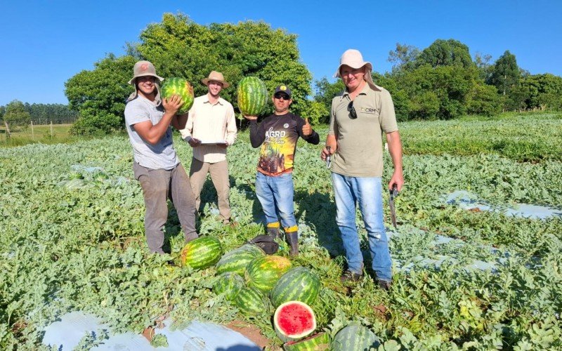 Uso de bioinsumos gera resultados positivos em lavoura de melancia | abc+