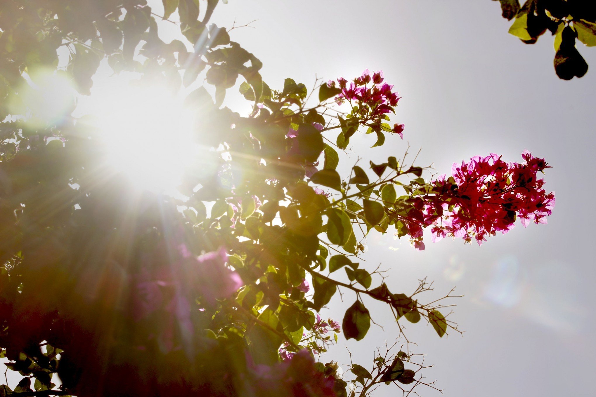 ONDA DE CALOR: O que esperar do 1º dia de temperatura extrema e sensação de 50°C no RS