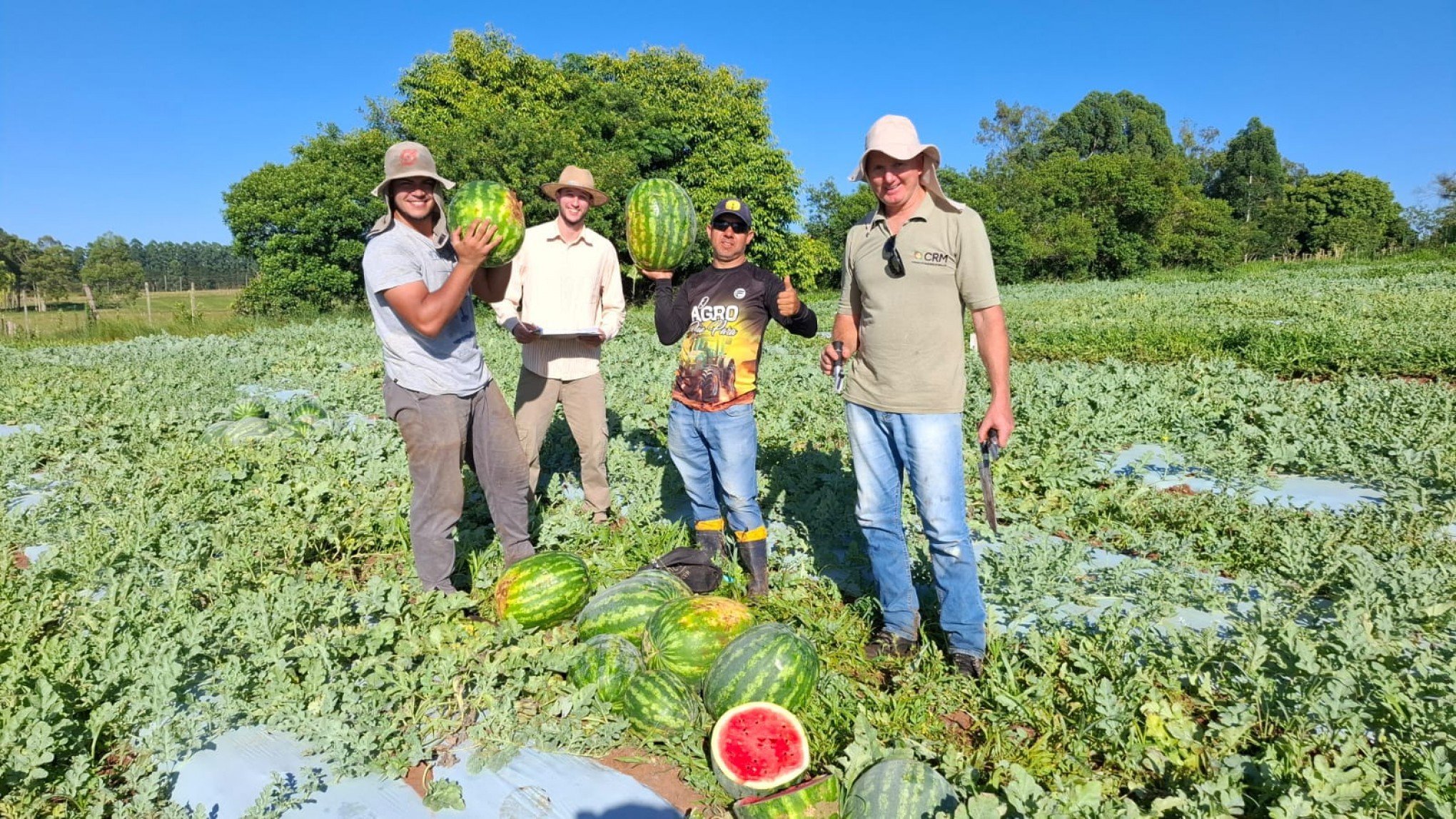 Agricultor celebra resultados de uso de bioinsumos em lavoura de melancia