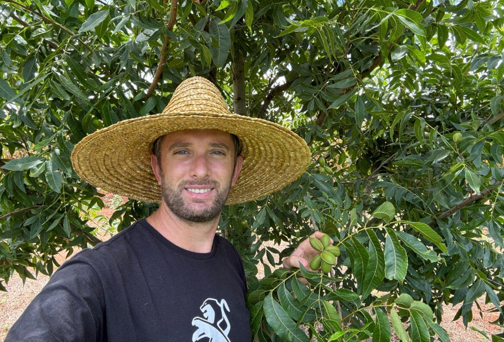 Pecanicultor espera aumento de produção após correção de solo e irrigação