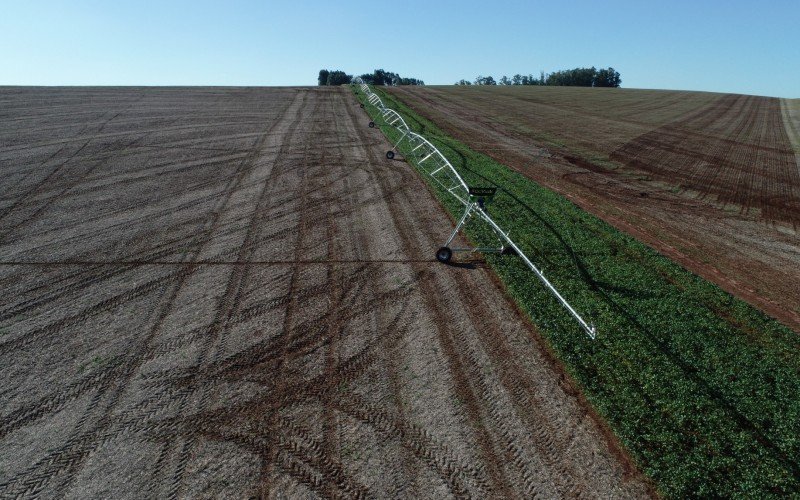 Cooperativa Cotripal oferece auxílio para que agricultores executem projetos de irrigação nas lavouras de grãos | abc+