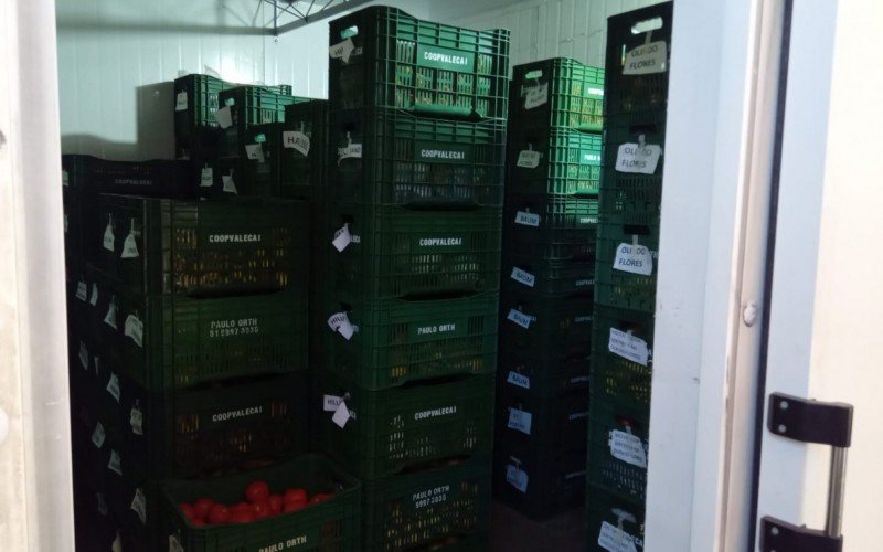 Coopertativa que fornece produtos para 60 escolas da região teme perder alimentos e sofrer prejuízo com a suspensão da volta às aulas