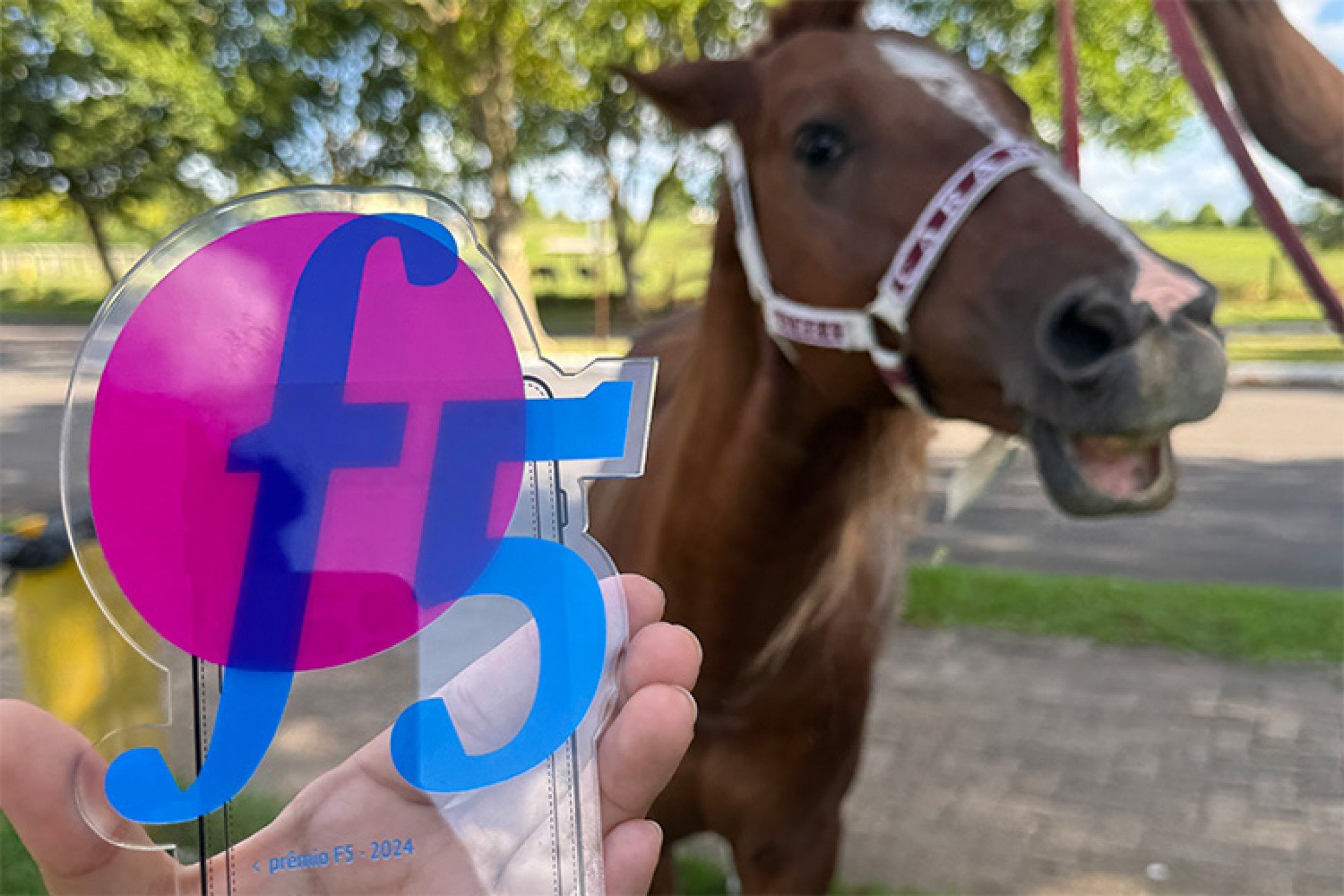 Cavalo Caramelo é agraciado com o troféu Bicho do Ano