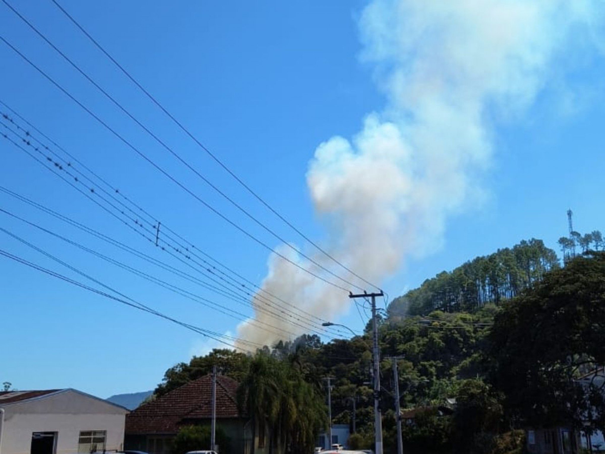 Incêndio volta a atingir área de mata no Vale do Paranhana