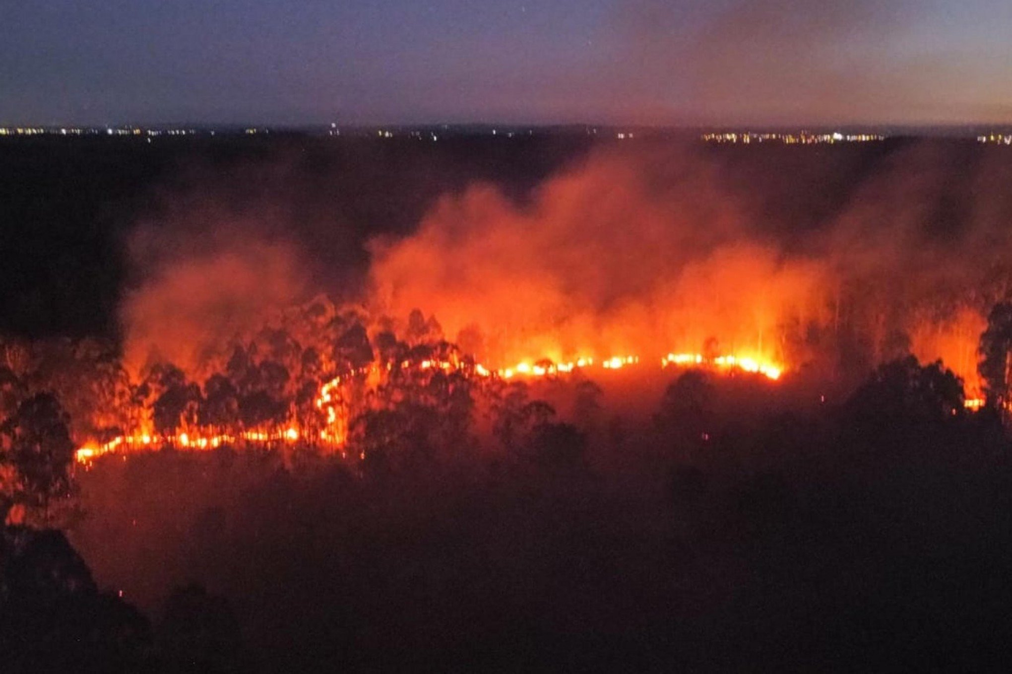 Incêndio causado pelo calor destrói mais de 80 hectares na região