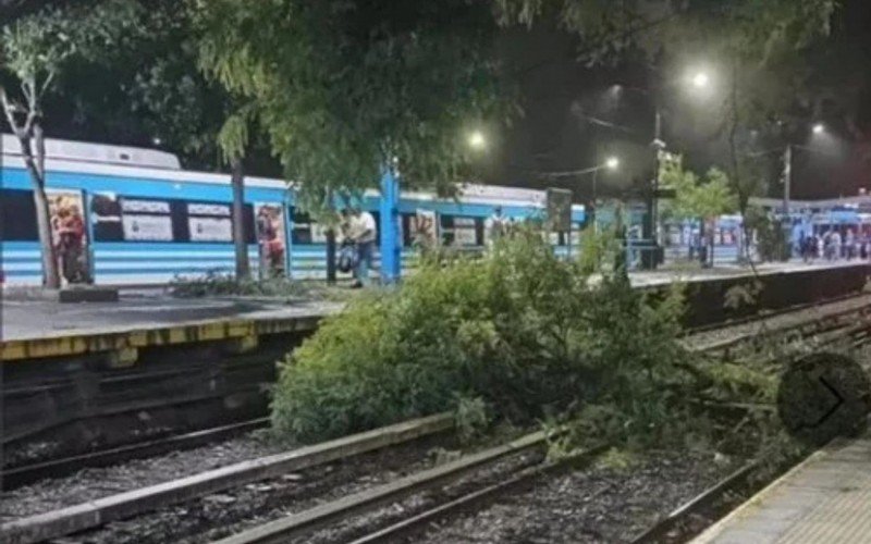 Temporal em Buenos Aires destrói árvores  | abc+