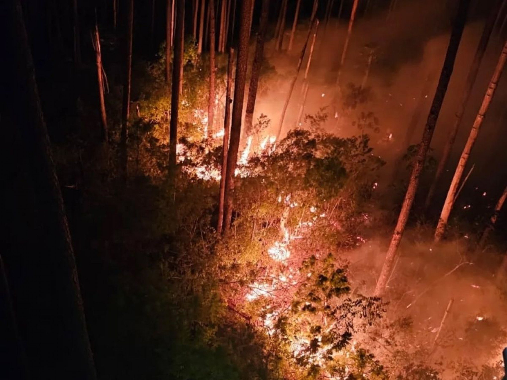 Fumaça após 10 horas de combate a incêndio permanece em área de mata na região; entenda o motivo
