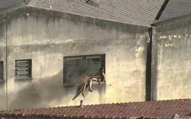 Incêndio atinge confeccção no Rio de Janeiro | abc+