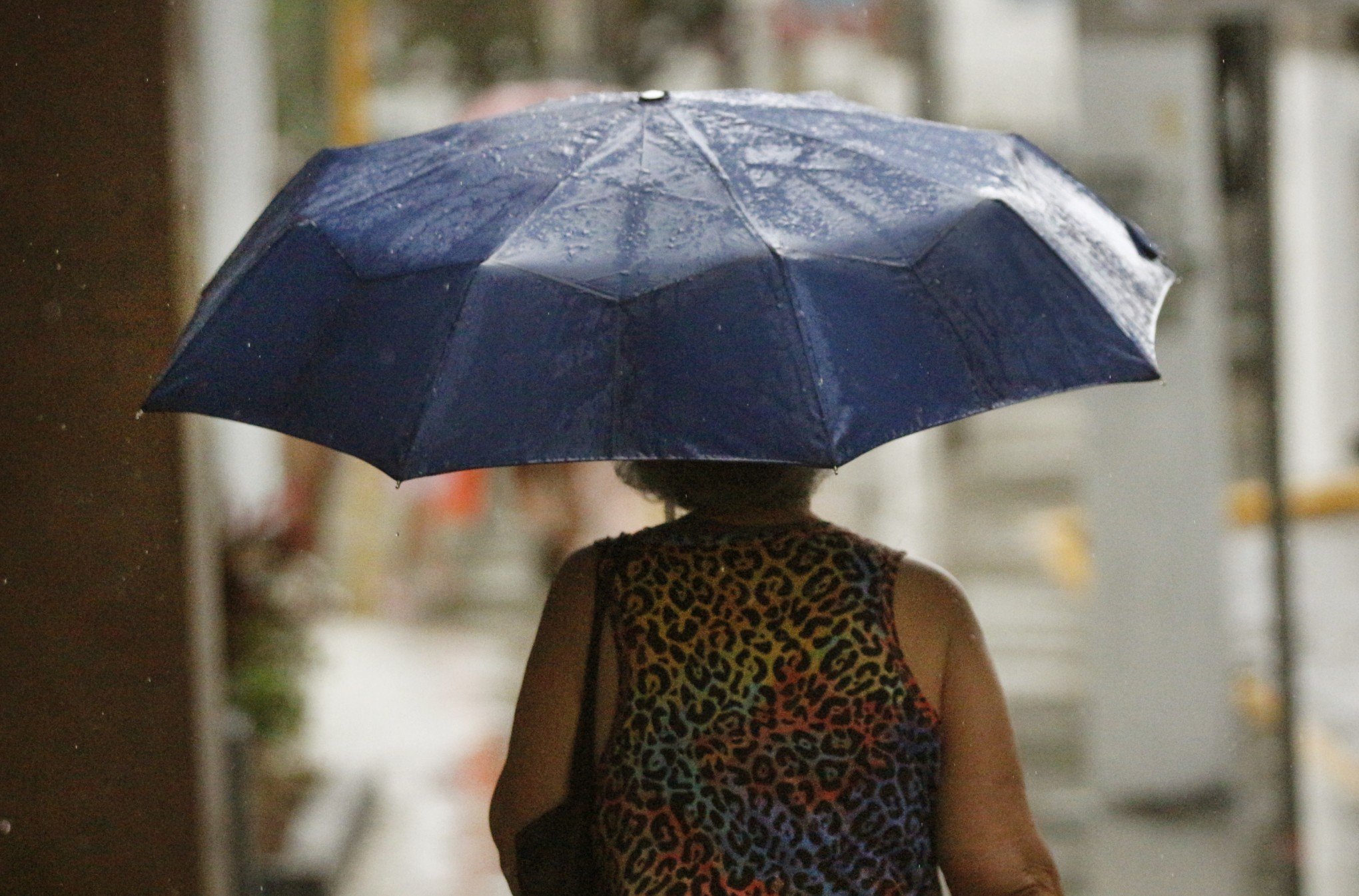 Fim da onda de calor? Variação térmica oscila nesta quarta-feira no RS; veja o que esperar amanhã