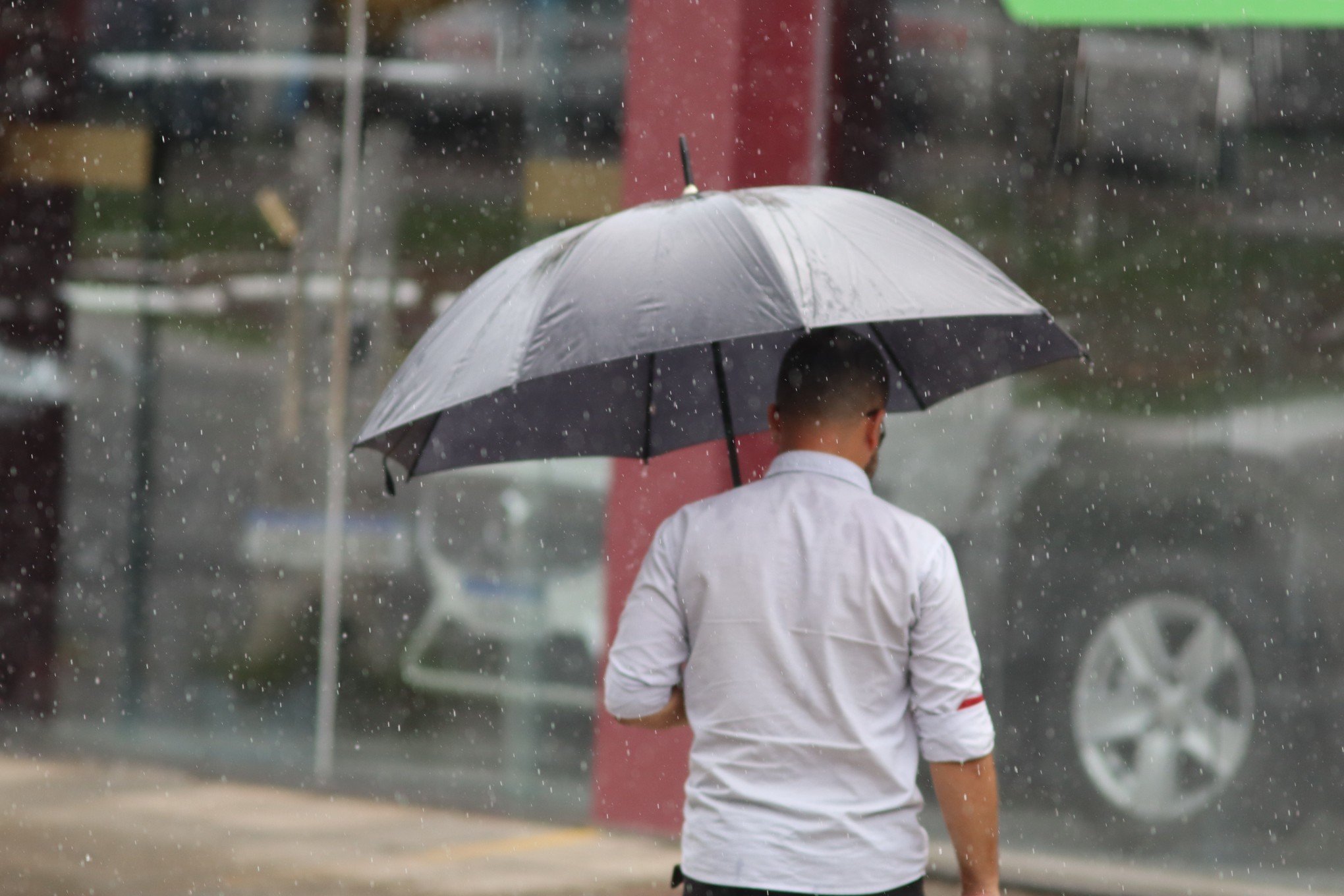 Chegada da chuva  | abc+