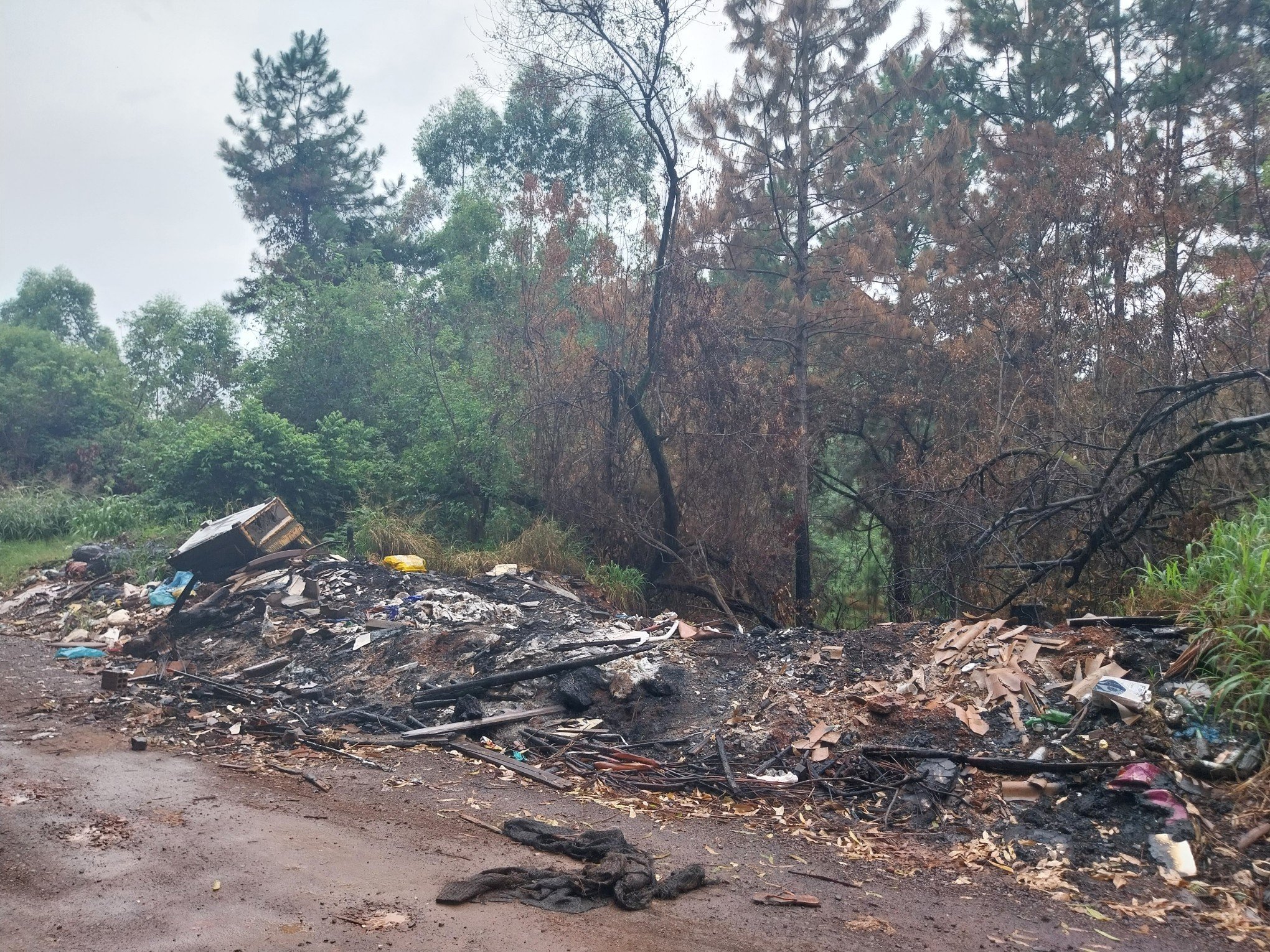 "Cheiro terrível de fumaça": Moradores reclamam de queimadas constantes entre Portão e Estância Velha