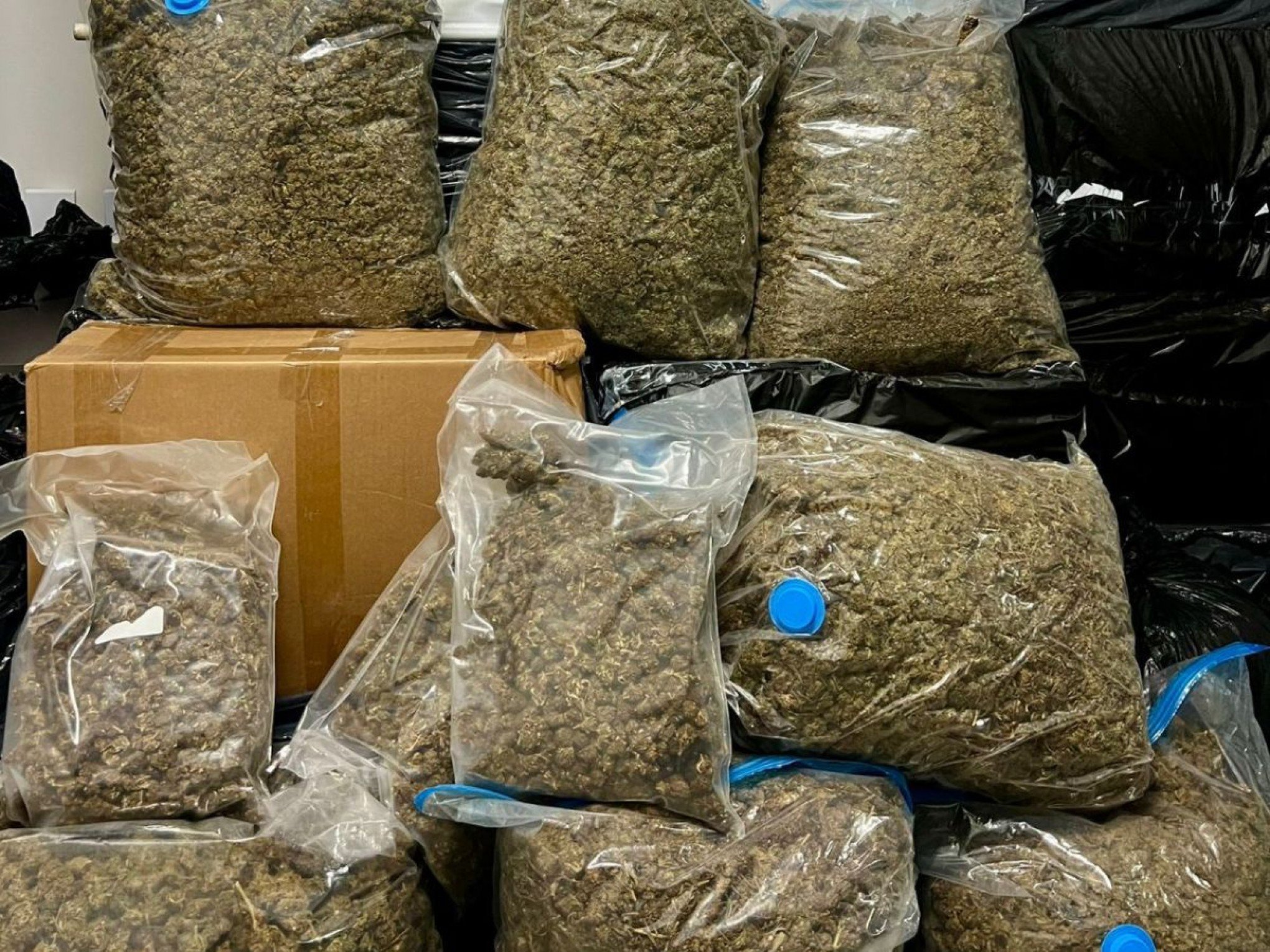 Quase 200 quilos de maconha foram apreendidos | abc+