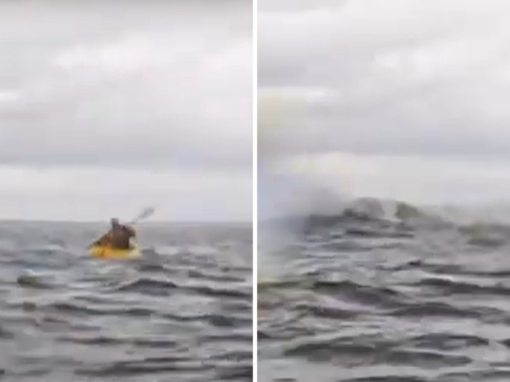 VÍDEO: História de pescador? Não! Homem é engolido por baleia e imagens são impressionantes