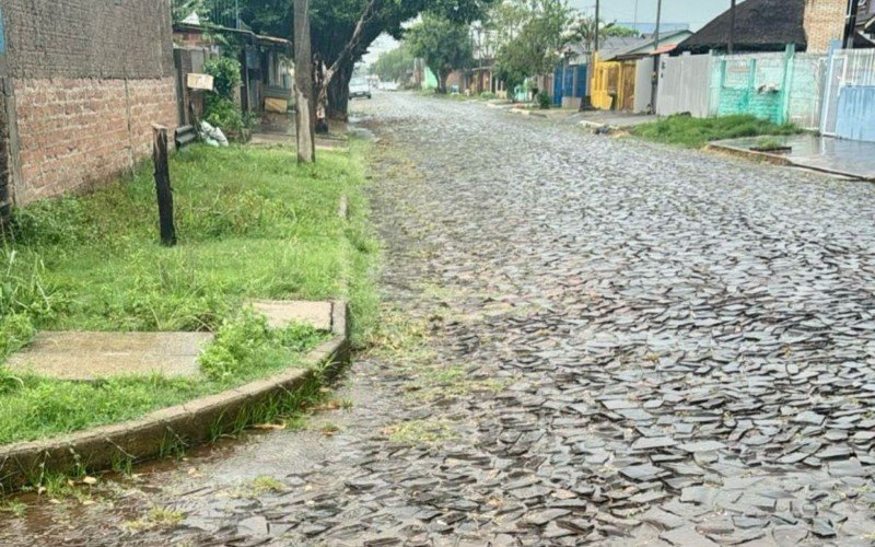 Rua Vicentina Maria Fidelis | abc+
