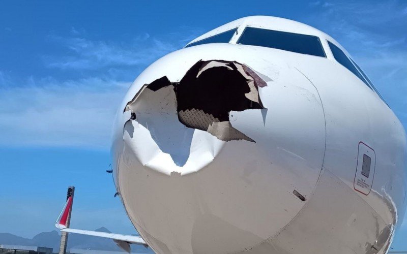 Passáro colidiu em avião da Latam na manhã desta quinta-feira no Rio | abc+