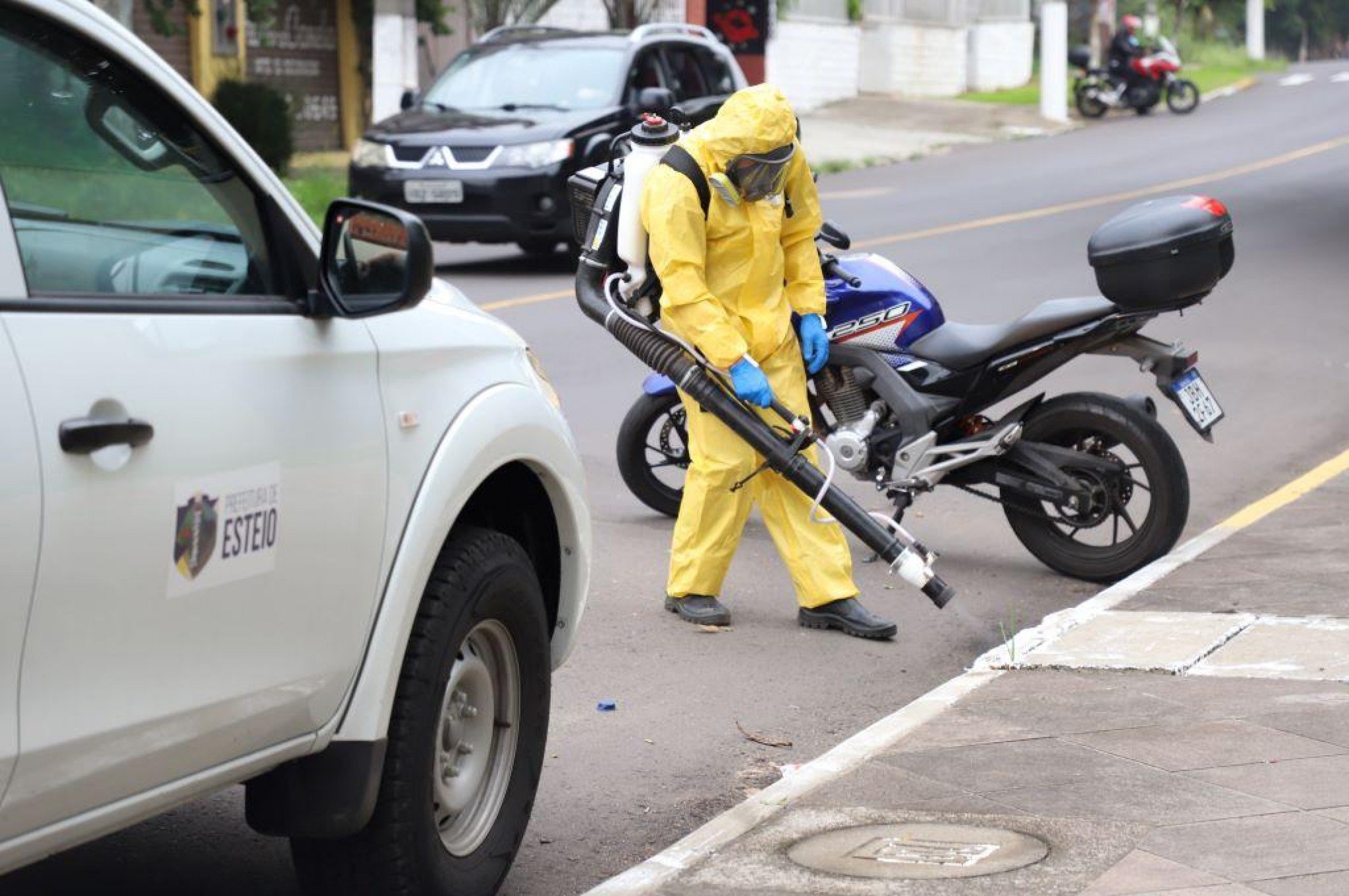 Esteio realiza ação contra ratos, baratas e mosquitos; veja como solicitar os serviços