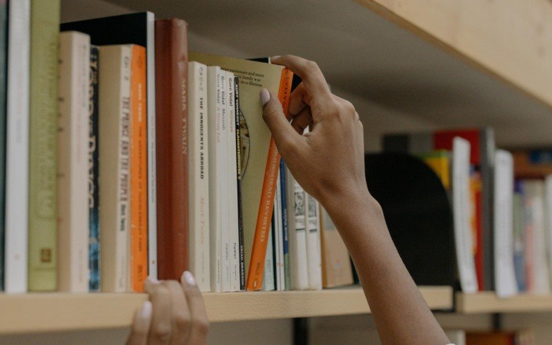Traças se alimentam de livros, roupas e outros  | abc+