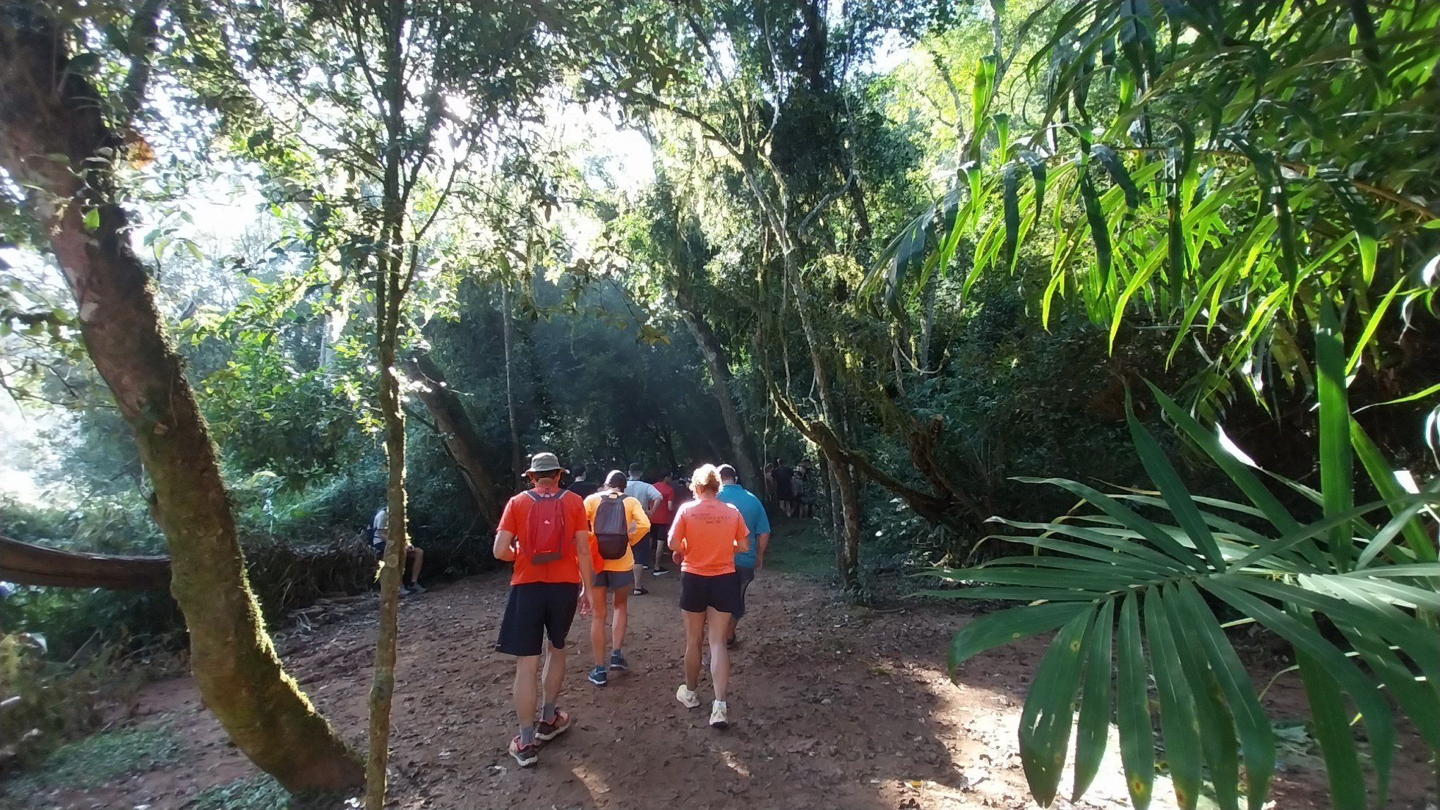 Saúde e contato com a natureza: Como foi a Caminhada de Verão em Ivoti